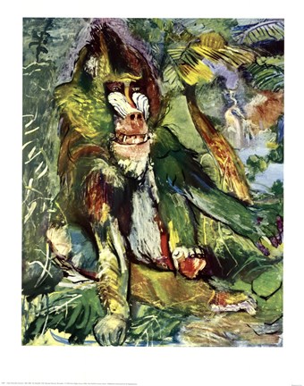 Framed Mandrill Print