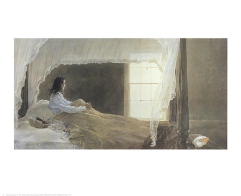 Framed Chambered Nautilus Print