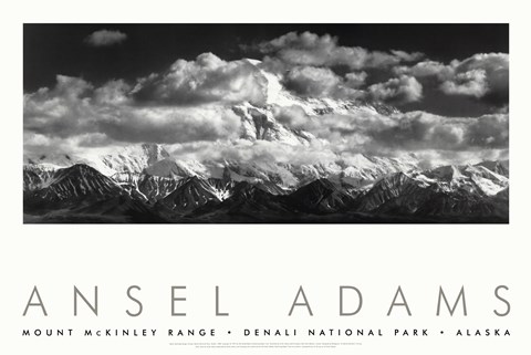 Framed Denali National Park Print