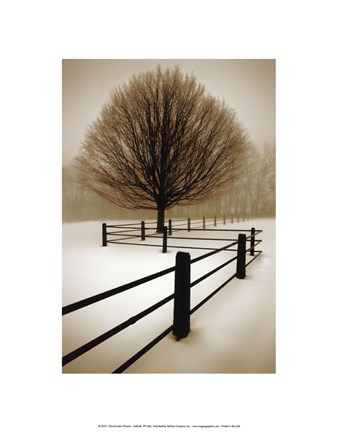 Framed Solitude Print