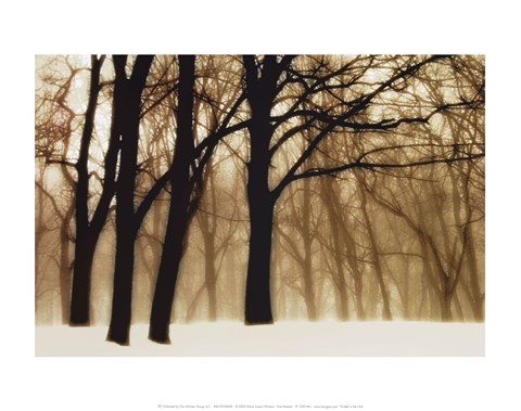 Framed Past Dreams Print