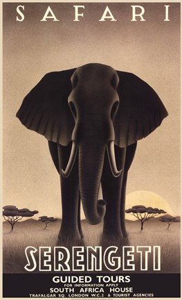 Framed Serengeti Print