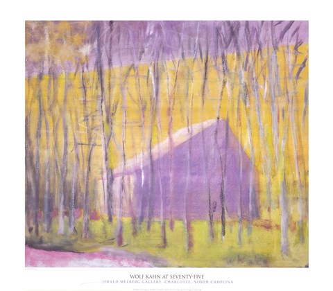 Framed Saltbox Barn, 2002 Print