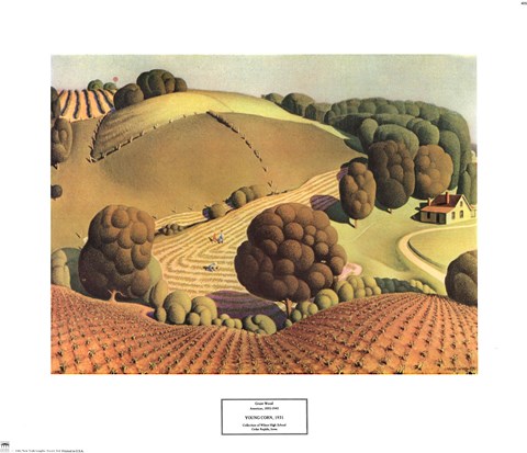 Framed Young Corn Print