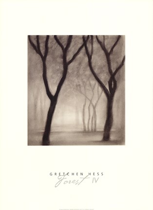 Framed Forest IV Print