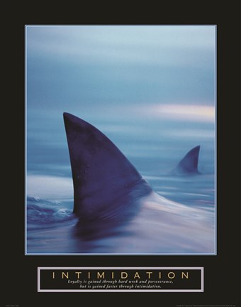 Framed Intimidation - Sharks Print