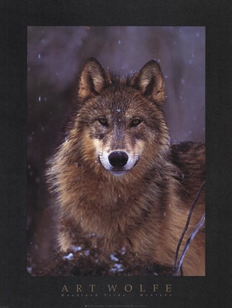 Framed Woodland Pride, Montana Print