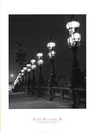 Framed Pont Alexandre III Print