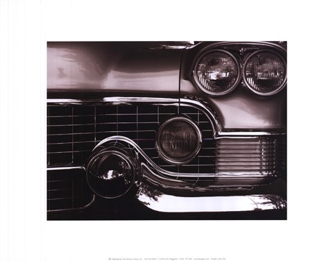 Framed Grille Print