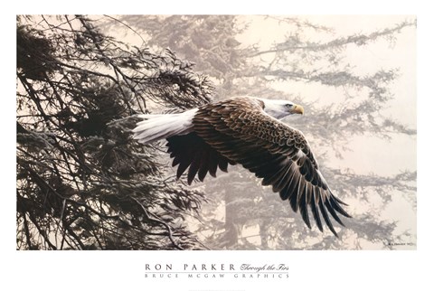 Framed Through the Firs Print