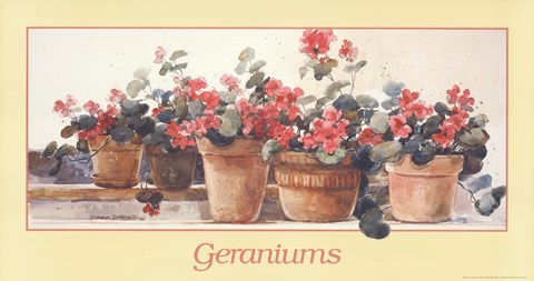 Framed Geraniums Print