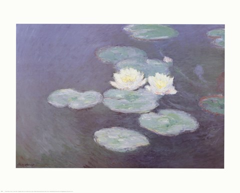 Framed Nympheas Effet Du Print