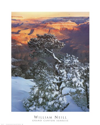 Framed Grand Canyon Sunrise Print