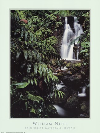 Framed Rainforest Waterfall, Hawaii Print