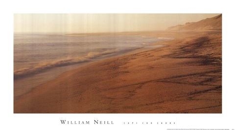 Framed Cape Cod Shore Print