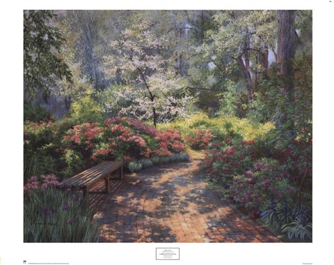 Framed Cobblestone Walk Print