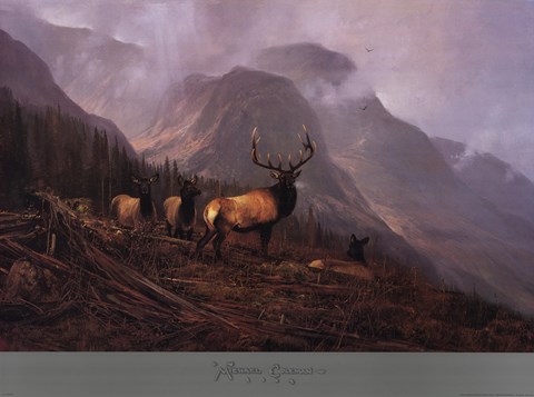 Framed Bookcliffs Elk Print