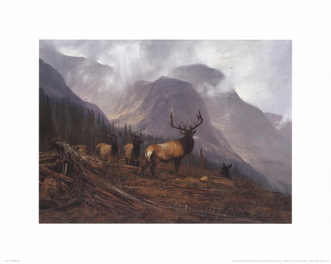 Framed Bookcliffs Elk Print