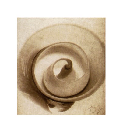 Framed Cutshell Print