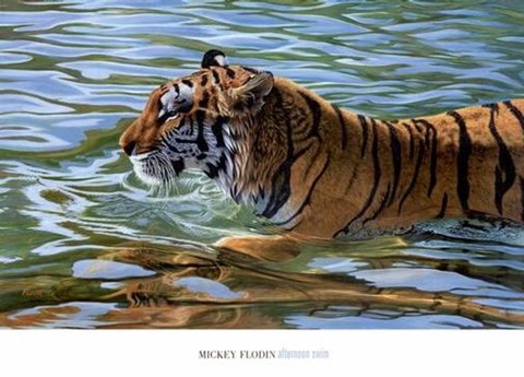 Framed Afternoon Swim Print