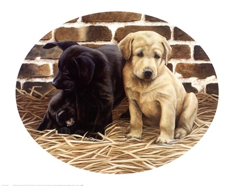 Framed Outsider Print