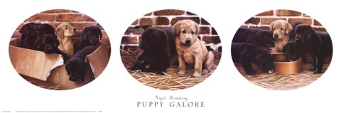 Framed Puppy Galore Print