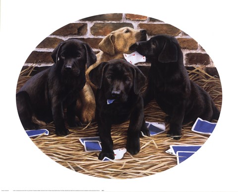 Framed Card Sharps Print