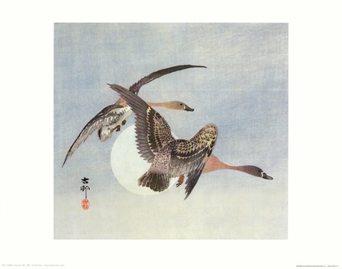 Framed on the Wing Print