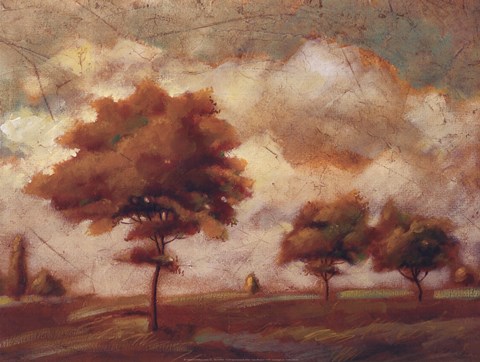 Framed Tuscan Afternoon II Print