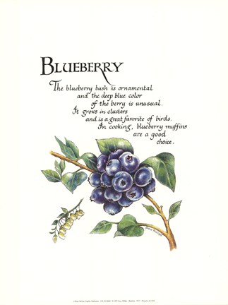 Framed Blueberry Print