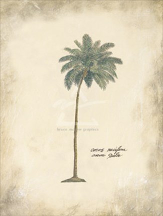 Framed Cocoa Palm Print