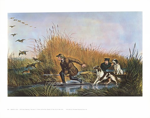 Framed Wild Duck Shooting Print