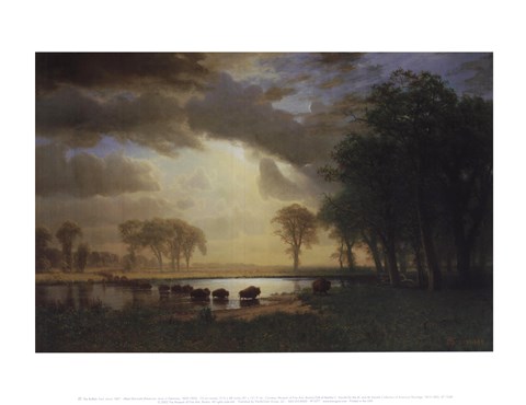 Framed Buffalo Trail, c.1867 Print
