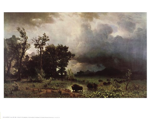 Framed Buffalo Trail Print