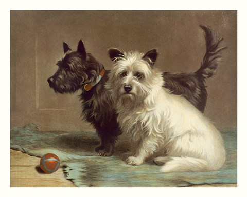 Framed Scotty and Khaki Print