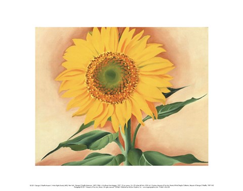 Framed Sunflower from Maggie, 1937 Print