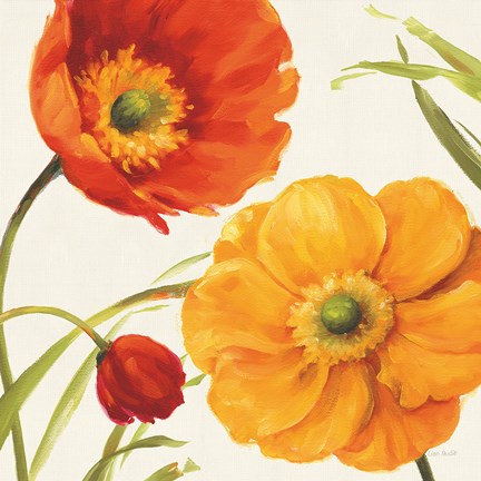 Framed Poppies Melody II Print