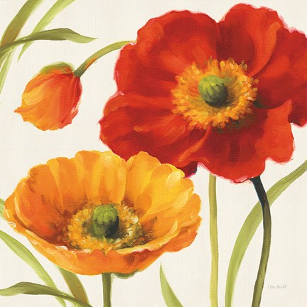 Framed Poppies Melody III Print