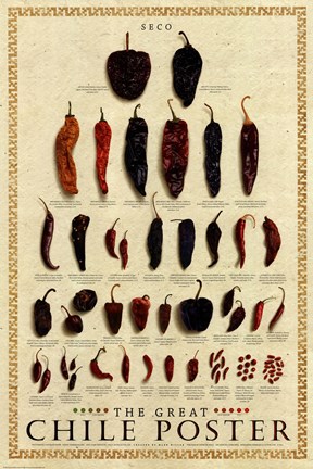 Framed Great Chile Poster [dried] Print