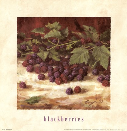 Framed Blackberries Print