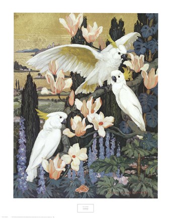 Framed Cockatoos Print