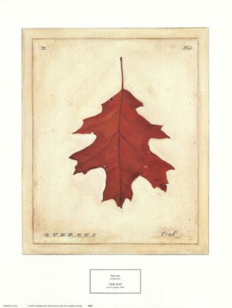 Framed Oak Leaf Print