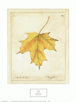 Framed Maple Leaf Print