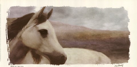 Framed Horse On The Hill Print