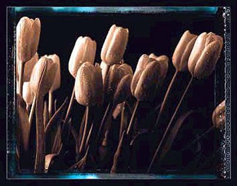 Framed Tulips Print