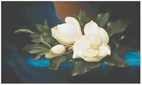Framed Magnolias Print