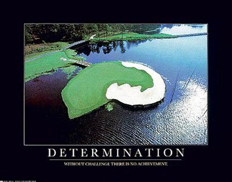 Framed Determination Print