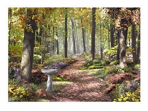 Framed Forest Path Print