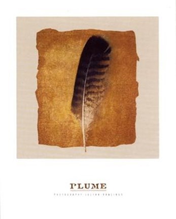 Framed Plume Print
