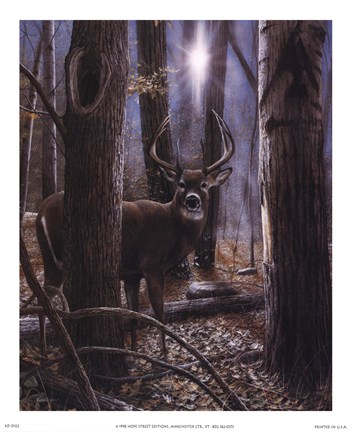 Framed Woodland Sentry Print